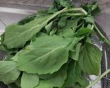 A picture of step 1 of Rocca salad 🥗.