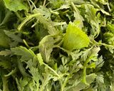 Hình bước làm 1 của món Rau Cải Cúc Nấu Cá Ngừ Hộp