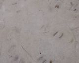 A picture of step 2 of Ghobhi ka paratha.