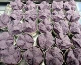Foto langkah ke 8 dari resep Bolu Kukus Ubi Ungu Anti Gagal.