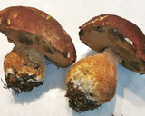 Foto del paso 1 de la receta: Fricandó de Ternera con Ceps