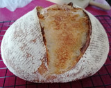 Foto del paso 7 de la receta: Pan casero con masa madre