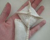 Hình bước làm 4 của món Há cảo nhân thịt