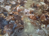 Sapi Saus Lada Hitam