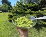 A picture of step 3 of Celery with Avocado and Green Onion.