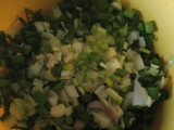 લીલી ડુંગળી નુ શાક(Green onion Shaak Recipe in Gujarati)
