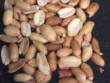 طريقه عمل زبدة الفول السوداني / peanut butter