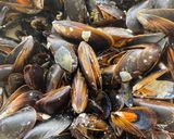 Une image de l'étape 3 de Moules roquefort.