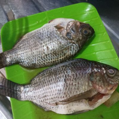 Langkah 1