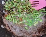 Foto langkah ke 3 dari resep Tumis Tempe Kacang Panjang.