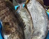 Foto langkah ke 1 dari resep Ikan Goreng Untuk Stok Frozen food.