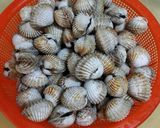 Foto langkah ke 1 dari resep Kerang dara saus tiram.