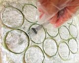 Hình bước làm 7 của món Mochi trà xanh nhân kem