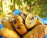 Foto del paso 5 de la receta: Pan de soda irlandés