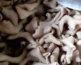 Foto langkah ke 1 dari resep Tumis Usus Kemangi Pedas.