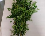 A picture of step 1 of Moringo leaves bhaji.