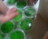 Foto langkah ke 6 dari resep Puding melon kelapa selasih.