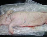 Foto del paso 1 de la receta: Cochinillo (chanchito) Navideño