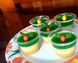 Foto langkah ke 4 dari resep Puding santan gula merah😊.