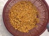 Tempe homemade