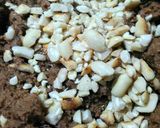 Foto langkah ke 4 dari resep Kue Kering Coklat Kacang.