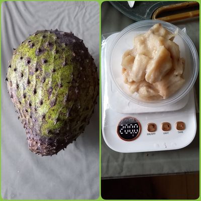 Langkah 1
