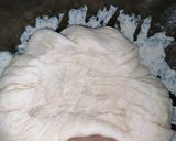 Foto del paso 4 de la receta: Berlinesas