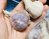 Hình bước làm 1 của món Valentine Bloom - V bloom ngon xỉu