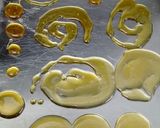 Foto del paso 7 de la receta: Natillas Betty