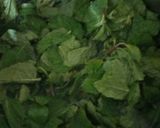 புதினா பட்டாணி சாதம்(mint peas pulao recipe in tamil) ரெசிபி ஸ்டேப் 1 புகைப்படம்