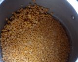 A picture of step 1 of Puran Poli (Maharashtrian Sweet Flatbread).
