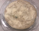 Foto del paso 6 de la receta: Gratín de brócolis y coliflor en salsa de atún