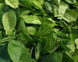 Foto langkah ke 1 dari resep Bening Daun Katu.