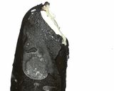 A picture of step 5 of Chocobar Ice cream.