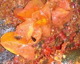 Foto langkah ke 7 dari resep Sambal pecel lele ala dapurkinkin.
