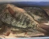 Foto langkah ke 1 dari resep Ikan Nila Kuah Santan Kuning.