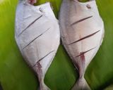 A picture of step 1 of Malabar trevally fish fry.