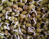 સ્પ્રાઉટેડ મગ દહીં ચાટ(Sprouted mung dahi chat recipe in Gujarati) રેસીપી સ્ટેપ1ફોટો