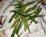 Foto langkah ke 5 dari resep Goreng Tempe Daun Jeruk.