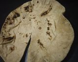 रोटी टॉर्टिला(Roti tortella recipe in hindi) रेसिपी चरण 1 फोटो
