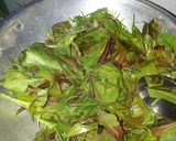 Foto langkah ke 6 dari resep 78. Tumis Pakis Merah.