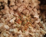 Csirkés-cukkinis spagetti zöldfűszerekkel bolondítva recept fázis 2 fotója