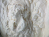 Gyümölcsös csoda (sütés nélkül)