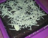 Foto langkah ke 4 dari resep Brownis 6 sendok.