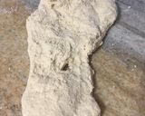 Foto del paso 4 de la receta: Pan francés 🥖
