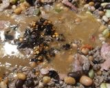 A picture of step 4 of Morefold Meat-Beans Soup.