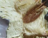 Foto langkah ke 1 dari resep Roti Sukun.