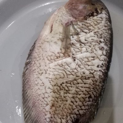 Langkah 1