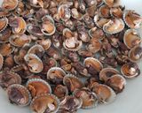 Foto langkah ke 1 dari resep Chilli Tomato Clam.