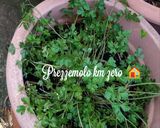 Foto del passaggio 6 della ricetta Nuovo risotto mare e monti funghi e gamberi fatto a modo mio 👩‍🍳🇮🇹🌍🏡🌇🦁💝